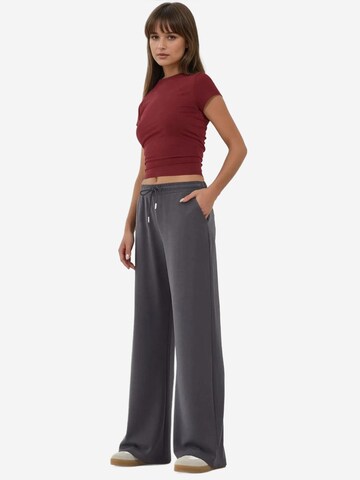 Wide Leg Pantalon Hiccup en gris