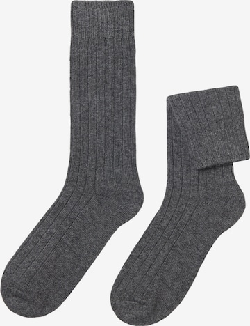 CALZEDONIA Socks in Grey: front