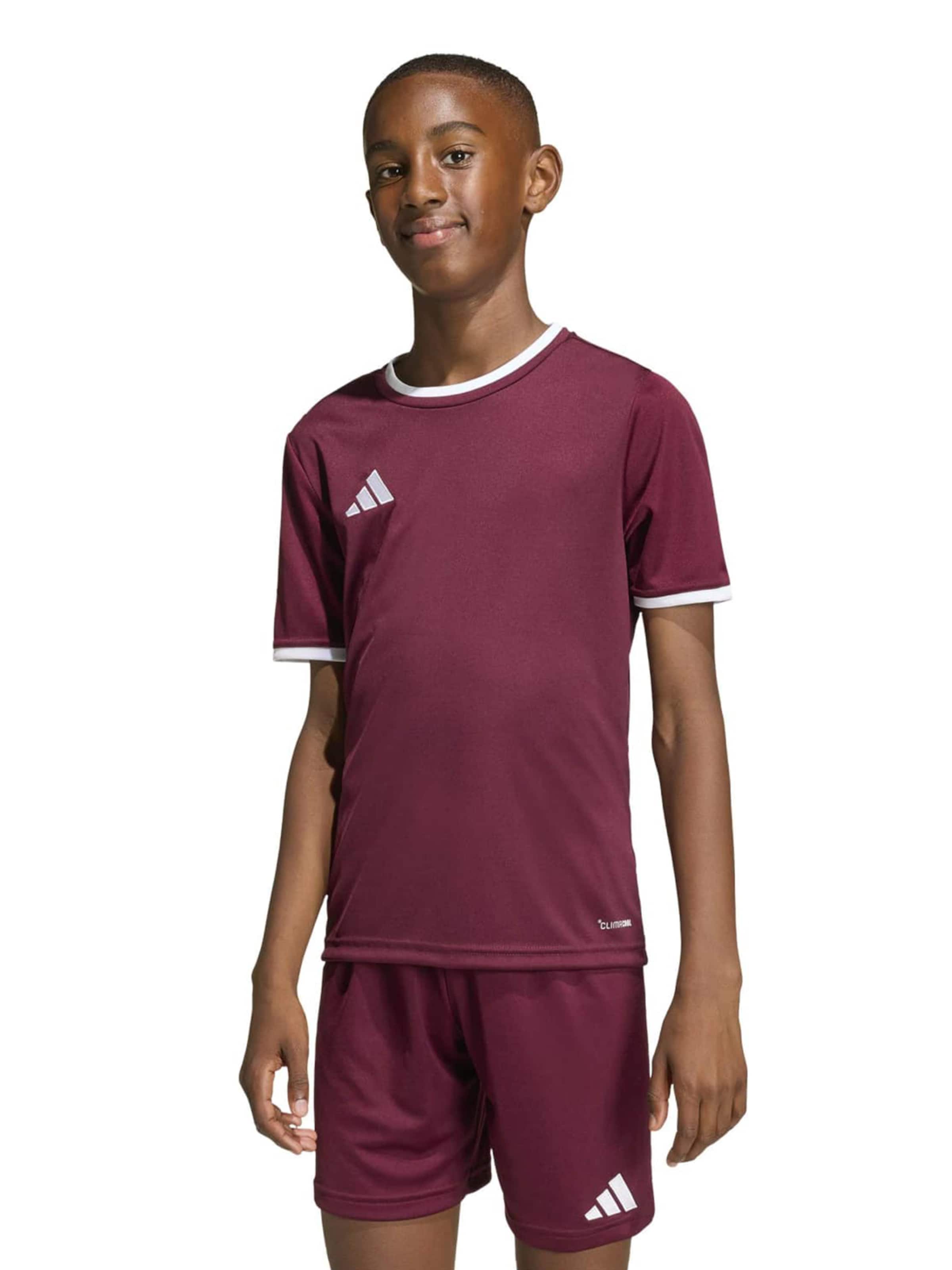 ADIDAS PERFORMANCE Функциональная футболка 'ENT26' в Красный: спереди