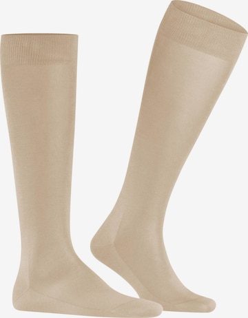 FALKE Knee High Socks 'Tiago' in Beige: front