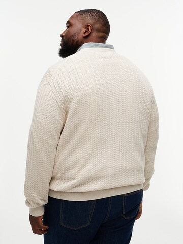 TOMMY HILFIGER Pullover in Beige