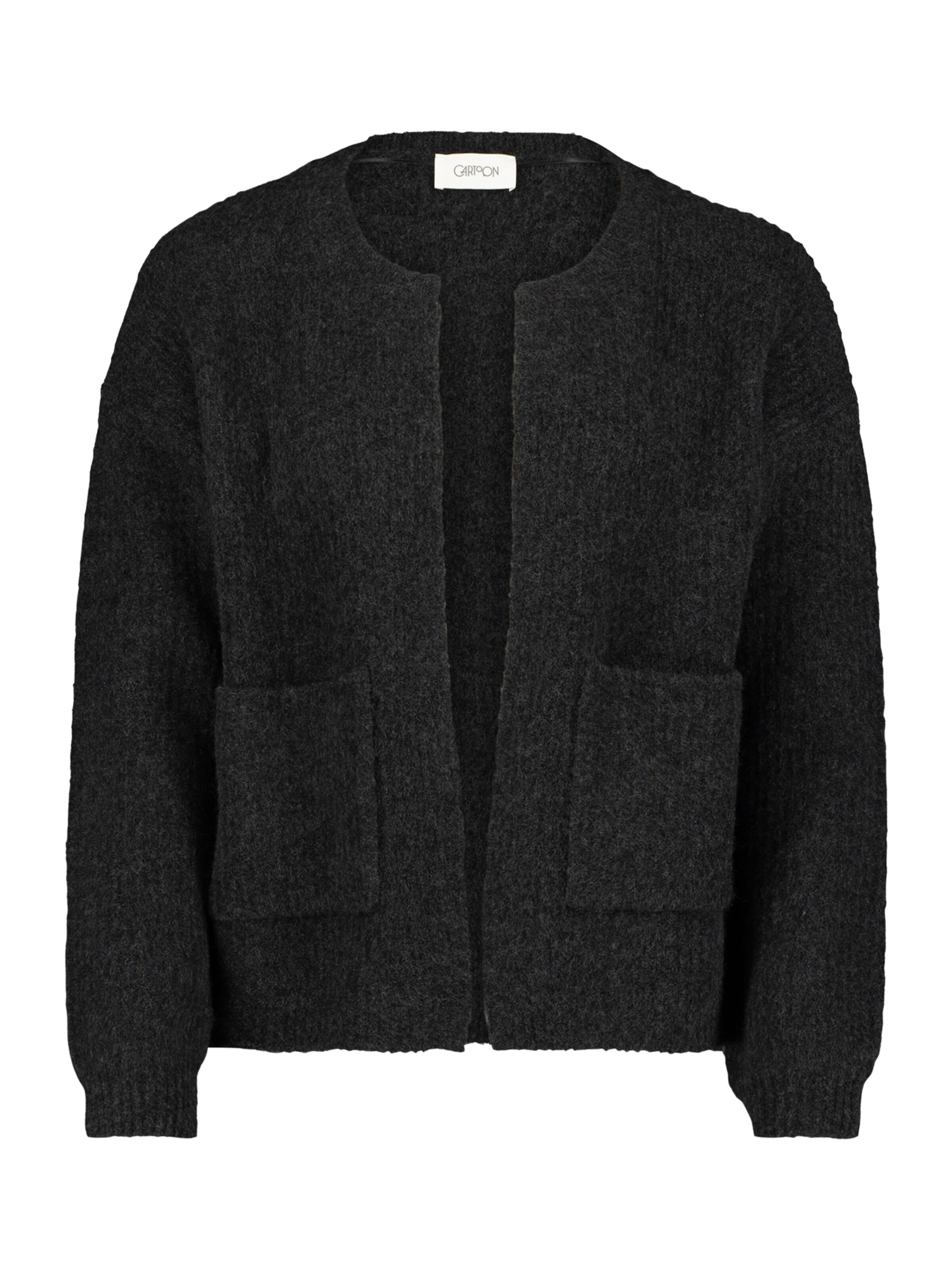 Giacchetta di Cartoon in grigio: frontale