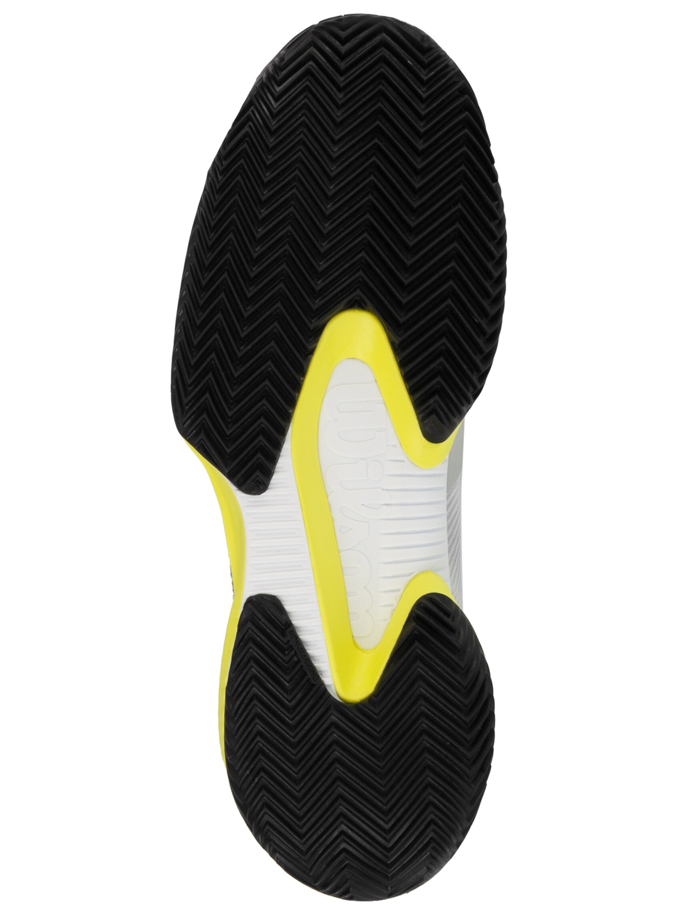 WILSON Sportschoen 'Wilson Kaos Swift 1.5 Clay' in Grijs
