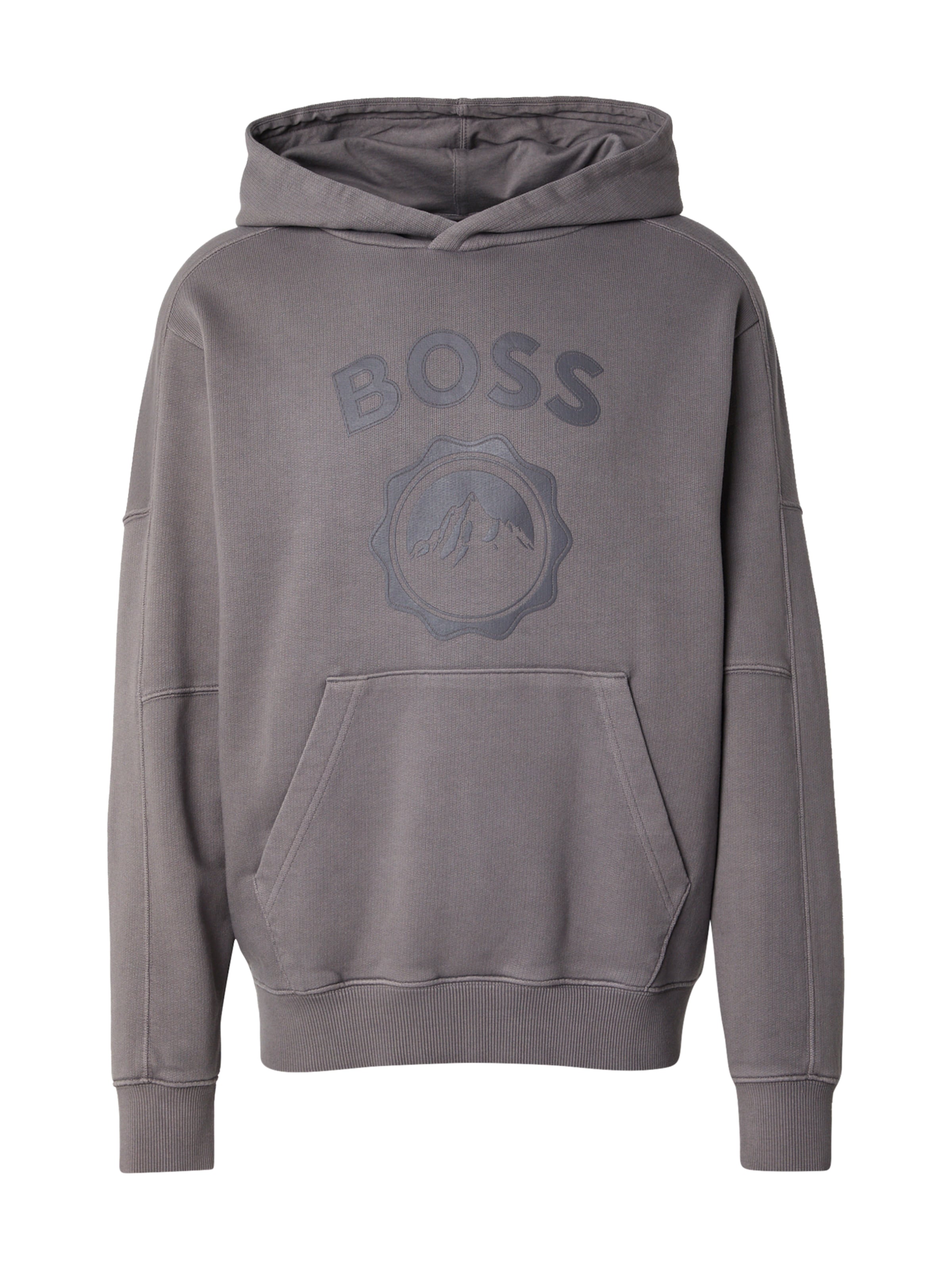 BOSS Свитшот 'We_Ice' в Серый: спереди