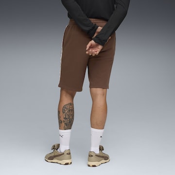 Regular Pantalon de sport 'FC St. Pauli King' PUMA en marron