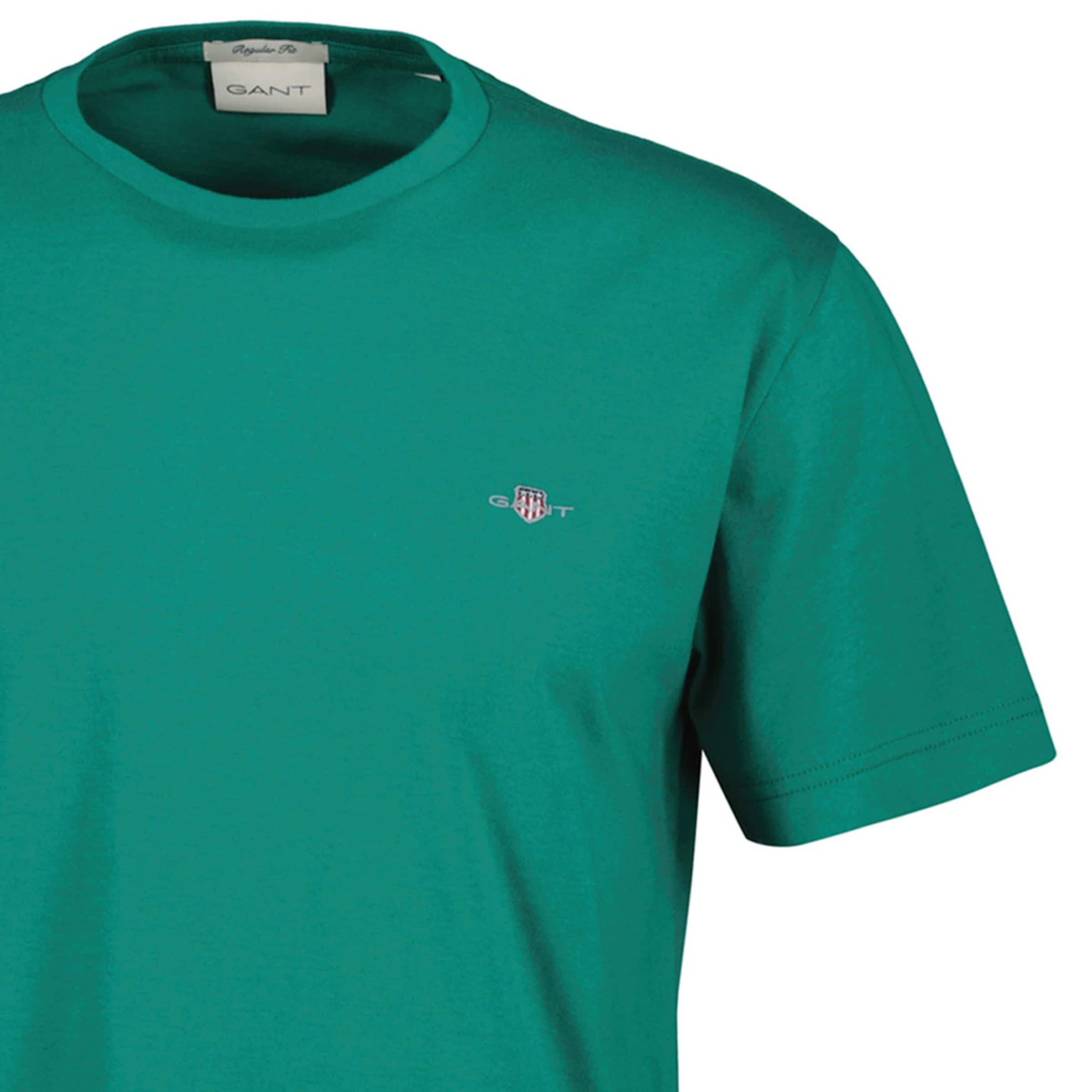 GANT - Camiseta en verde