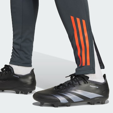 ADIDAS PERFORMANCE Slimfit Sporthose 'Benfica Tiro 24' in Grau