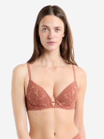 ETAM Push-up Bra 'Aura' in Brown: front