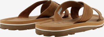 Gaastra Mules 'Gray CVS' in Brown