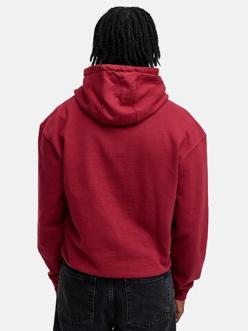 Daily Cotton Sweatshirt 'DCAUSTIN'‌‌‌‌‌‌‌‌‌‌ in Rot