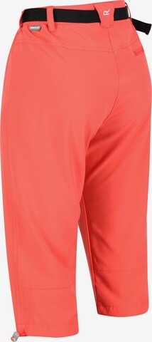 REGATTA Regular Outdoor Pants 'Xert' in Orange