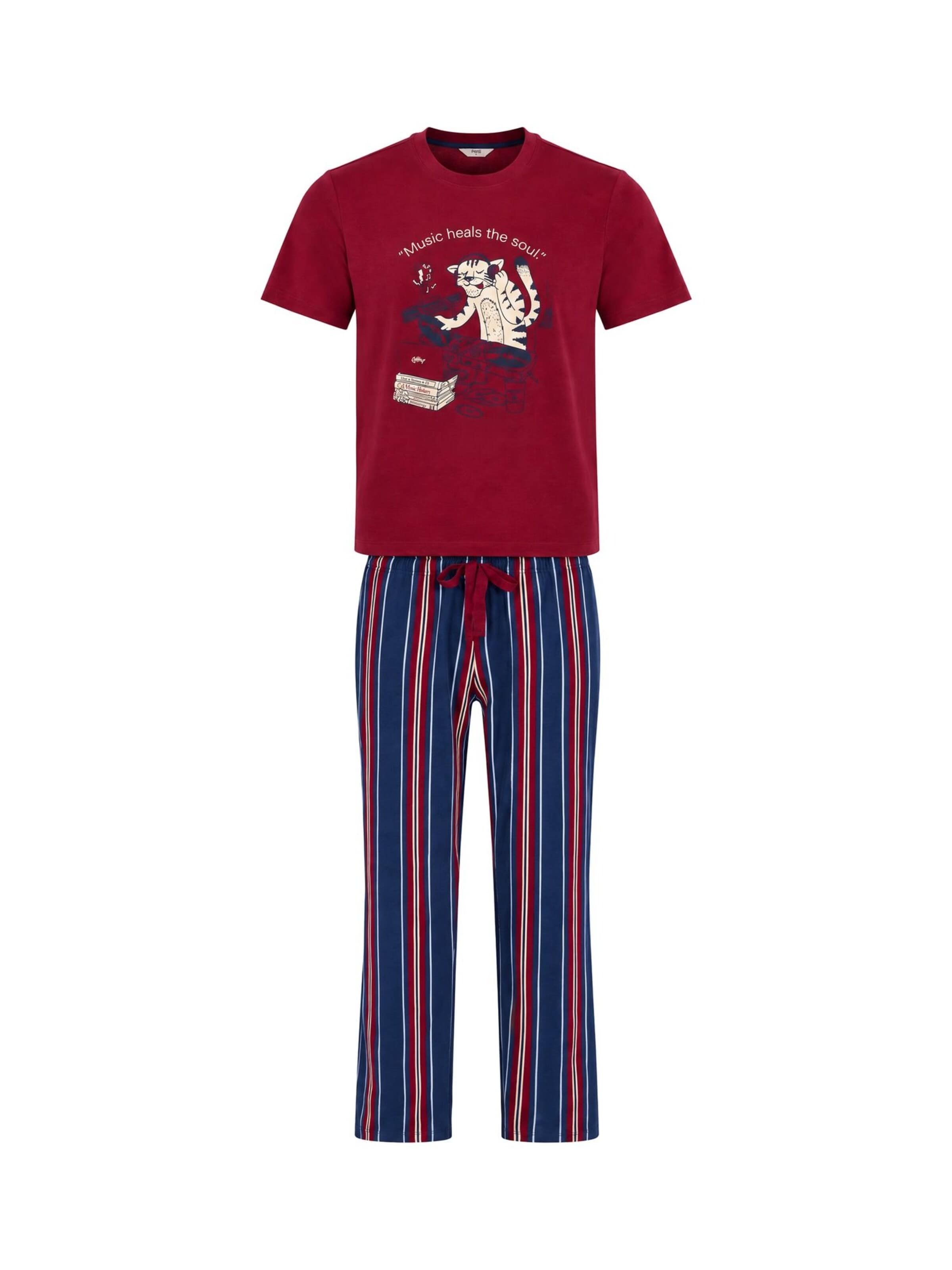 Penti Dolga pižama 'Pyjama-Sets' | mešane barve barva