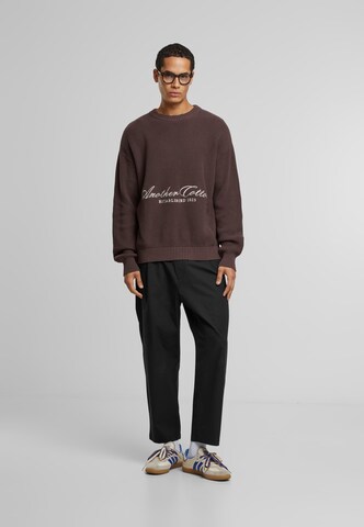 Another Cotton Lab Pullover in Braun