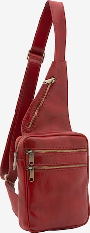 Borsa a tracolla di Viola Castellani in rosso: frontale