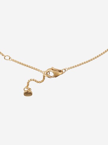 SKAGEN Necklace in Gold