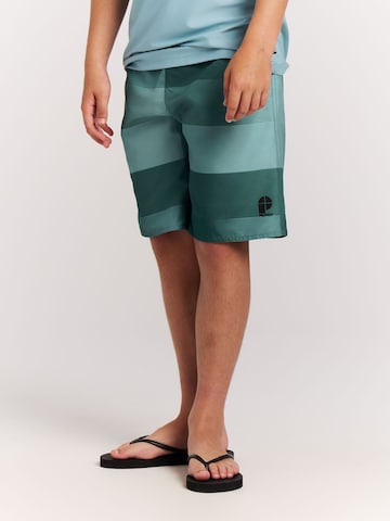 PROTEST Badeshorts 'PRTJames JR'‌‌‌‌‌‌‌ in Grün