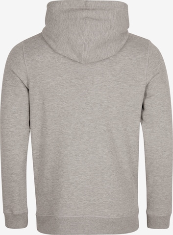 O'NEILL Sweatshirt 'State' in Grey