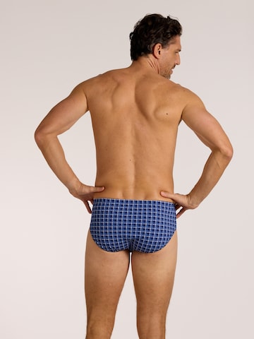 wavebreaker Swim Trunks in Blue