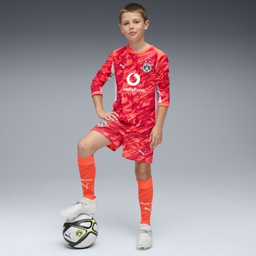 PUMA Regular Sportbroek 'Borussia Dortmund 25/26' in Rood
