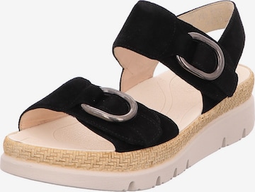 GABOR Sandals in Black: front