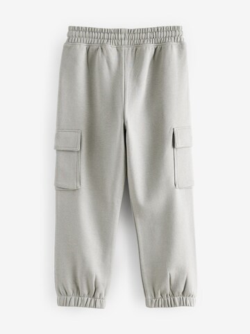 Next Конический (Tapered) Штаны в Серый