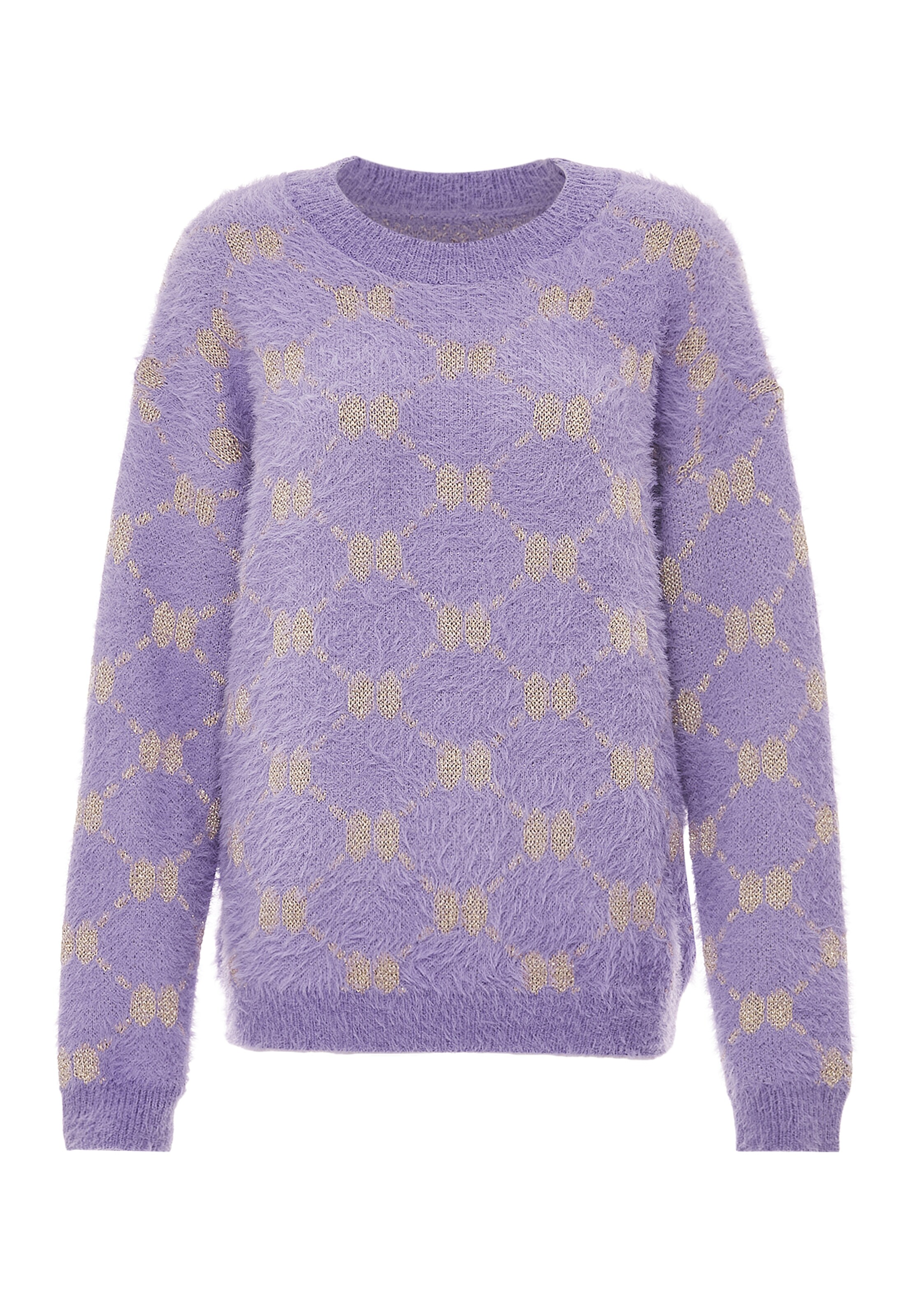 ebeeza Sweater in Purple: front