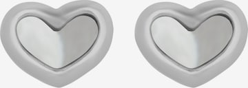 Akzent Earrings 'Candela, langlebig' in Silver: front