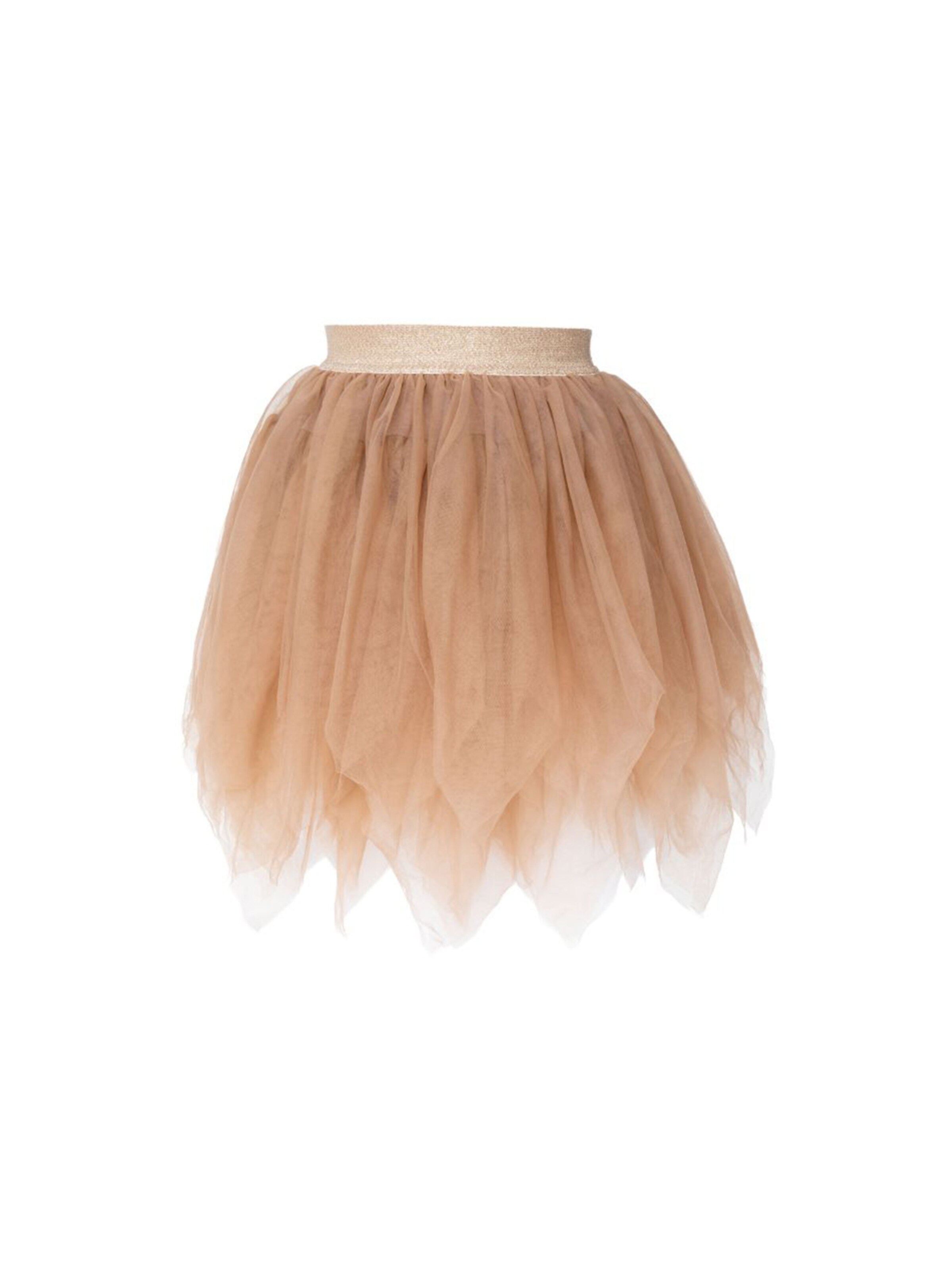 Billy loves Audrey Skirt 'Tüllrock  Willow' in Brown: front