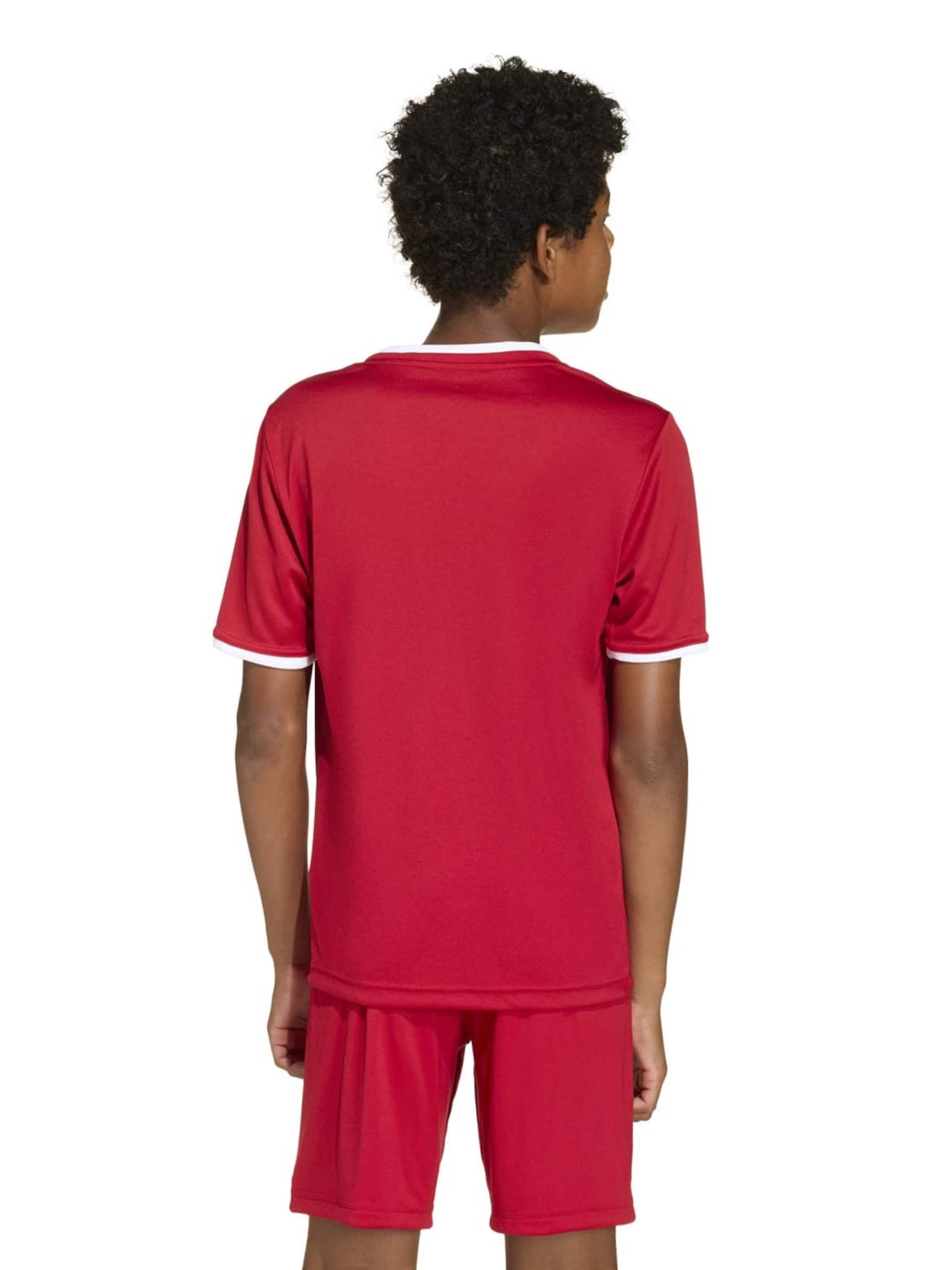 ADIDAS PERFORMANCE Funkční tričko 'ENT26' – červená