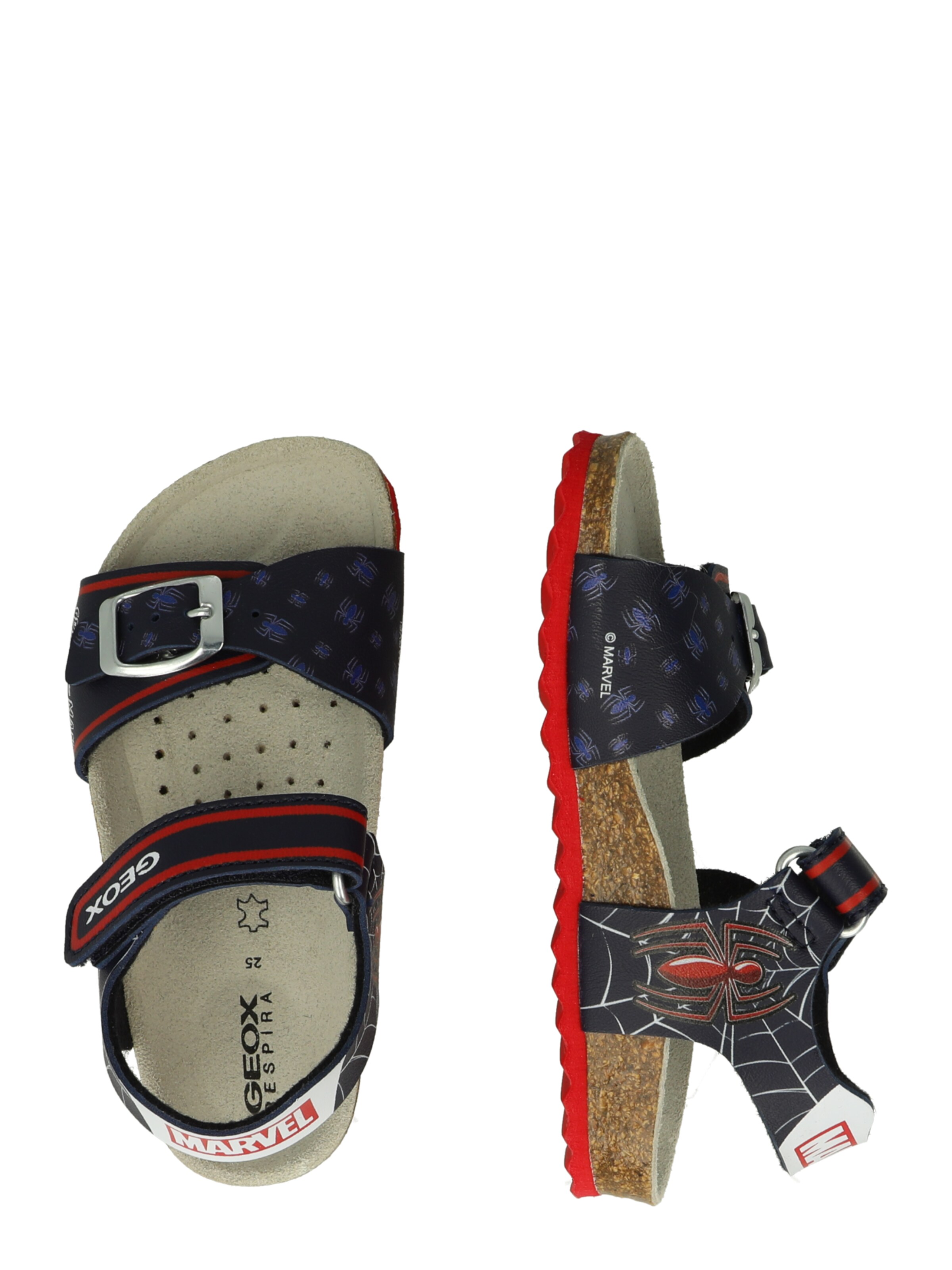 GEOX Open schoenen in Blauw