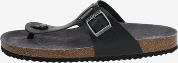 GEOX Teenslippers in Zwart