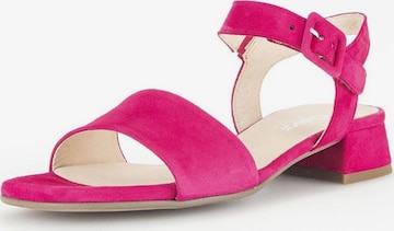 GABOR Strap Sandals in Pink: front