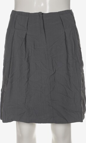 Caroll Skirt in L in Grey: front
