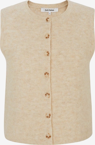 Pullover ' SRAlliy ' di Soft Rebels in grigio: frontale