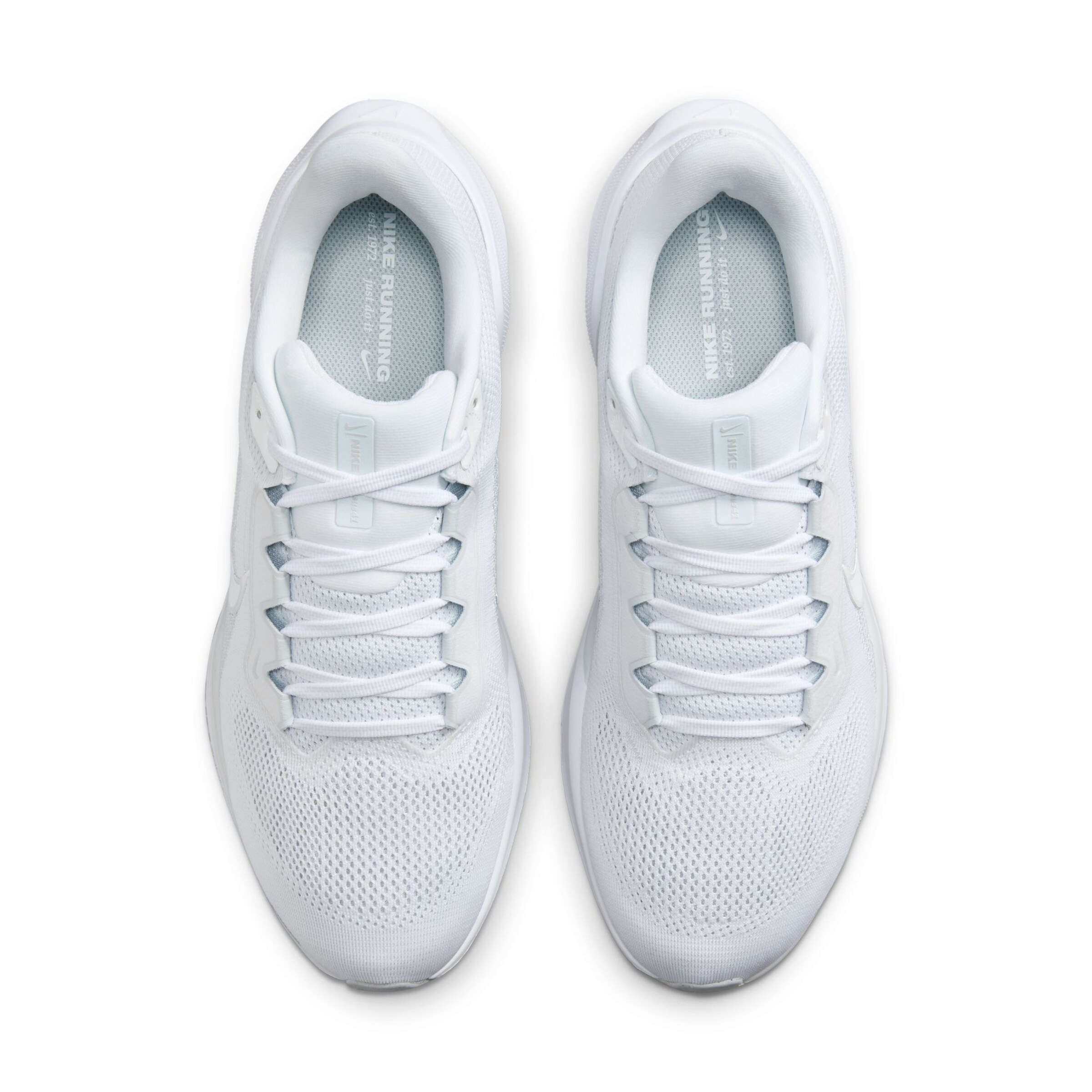 NIKE Springsko 'Pegasus 41' i vit