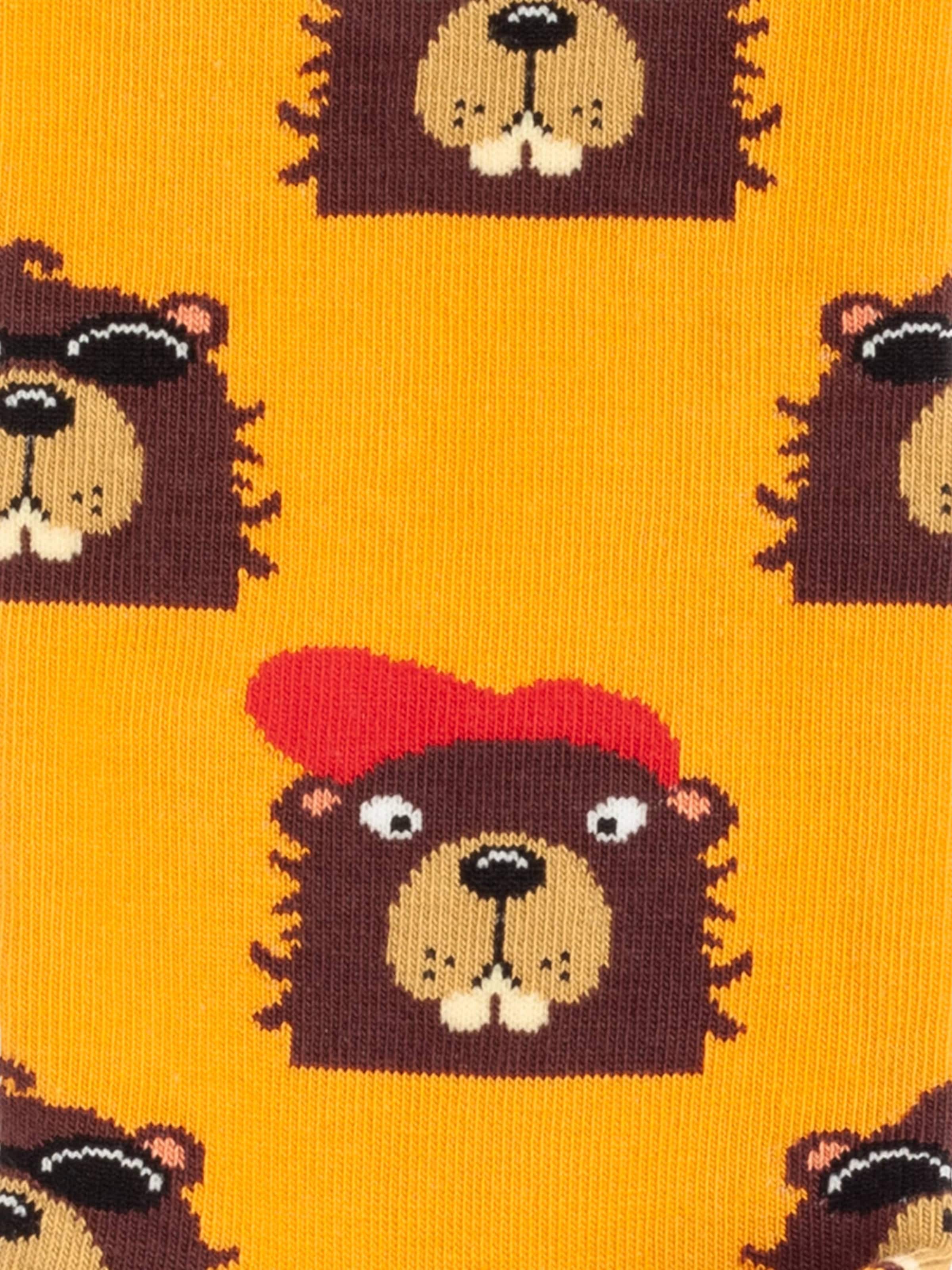 DillySocks Socken 'Geschenkbox - Paws & Friends (3er Box)' in Mischfarben