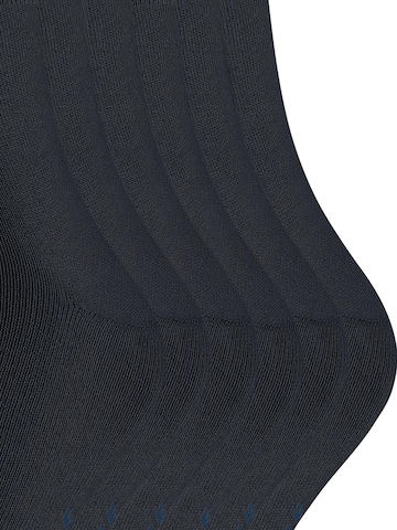 FALKE Socks 'Happy 6-Pack' in Blue