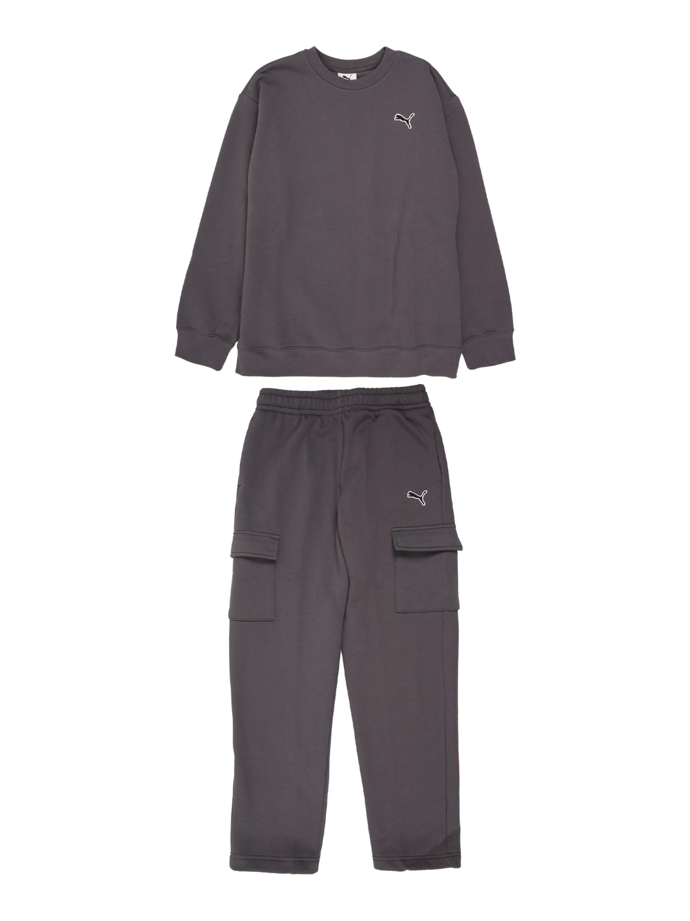 pilka PUMA Rinkinys: priekis