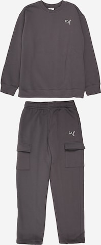 pilka PUMA Rinkinys: priekis