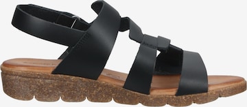 COSMOS COMFORT Strap Sandals in Black