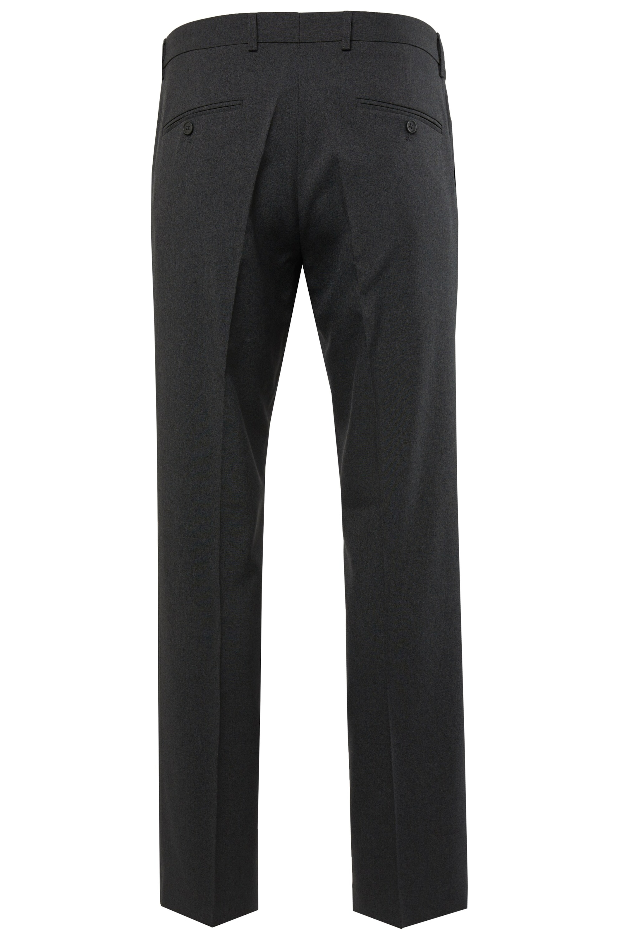 Men Plus Regular Pleated Pants in Grey