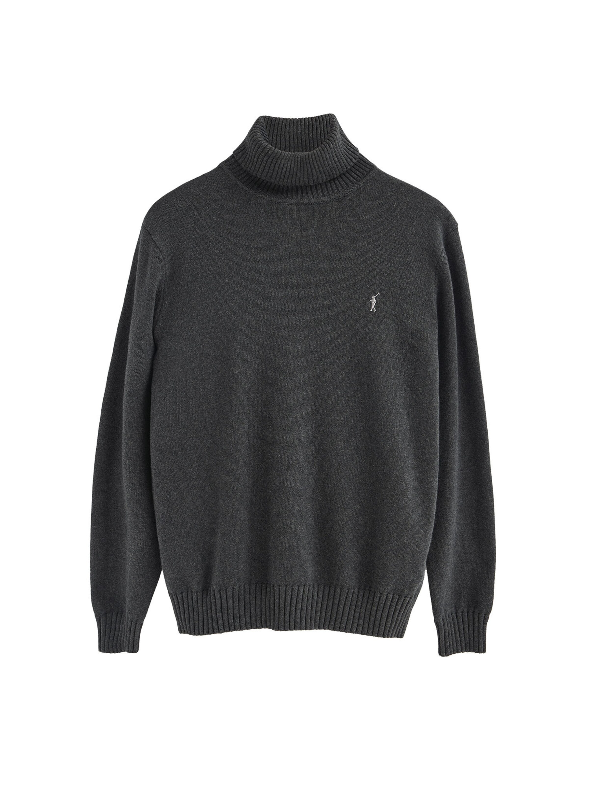 Polo Club Sweater in Grey: front
