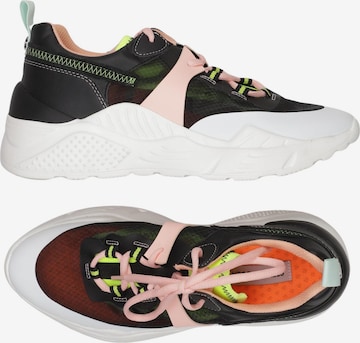 STEVE MADDEN Sneaker 39 in Mischfarben: Vorderseite