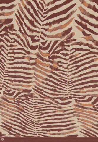 FRAAS Blankets in Brown