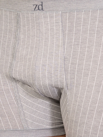 zd ZERO DEFECTS - Calzoncillo boxer 'Helios prinstriped fly front boxer' en gris