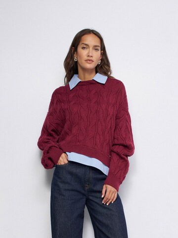 Salsa Jeans Pullover in Rot: Vorderseite