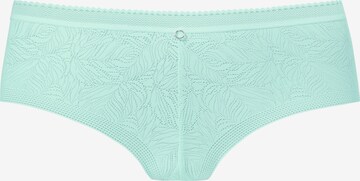 LASCANA Panty in Grün: predná strana