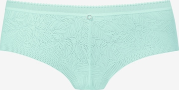 LASCANA Boyshorts in Green: front