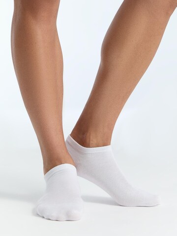 Albero Natur Ankle Socks in White