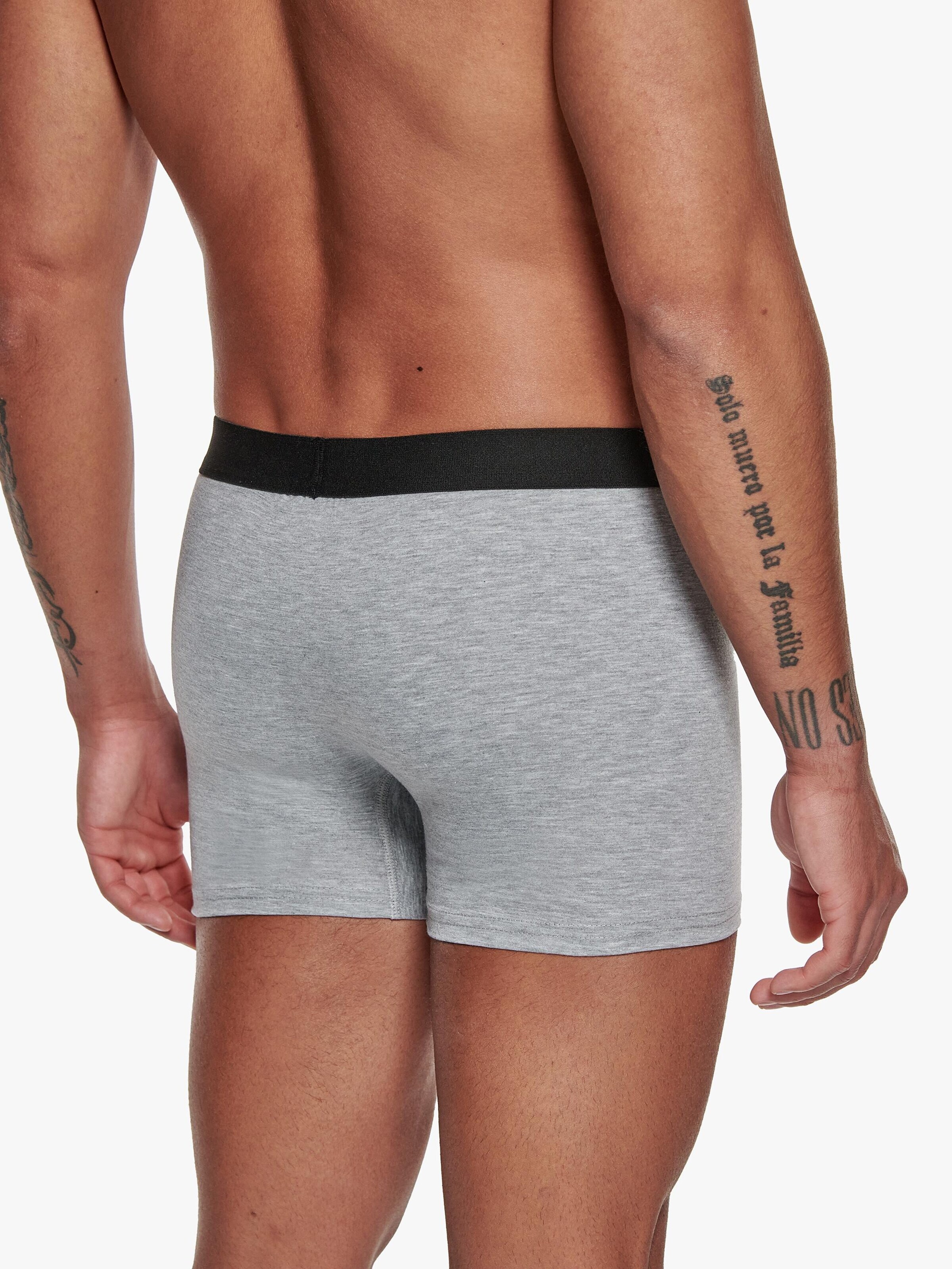 Adam Boxershorts '3er Pack'‌‌‌‌‌‌‌‌‌‌ in Grau